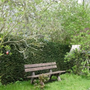 Bank der Azubi-WG im Grünen